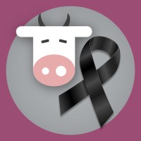Samoo - Elearning logo - Similar company to Bespo