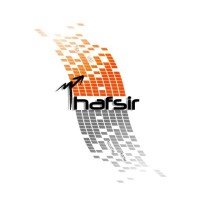 Thafsir Tax and Accounting Consultancy logo - Similar company to Toyspry