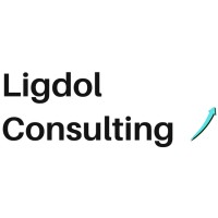 Ligdol Consulting logo - Similar company to 11 Health
