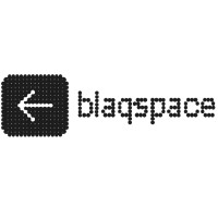 Blaqspace Technologies logo - Similar company to Mico