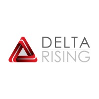 DELTA RISING DANIŞMANLIK TİCARET LTD. ŞTİ. logo - Similar company to Destax Global
