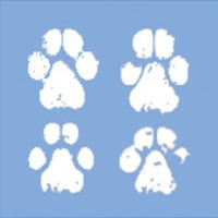 4 Paws Taxi & Ambulance logo - Similar company to Mypet