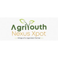 Agric Youth Nexus Export logo - Similar company to All Agric