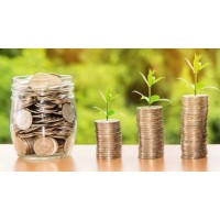 Macro Capital Investment logo - Similar company to Macro Capital Llc