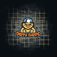 Charleston Dirty Birds logo - Similar company to Joseph Michael Solutions