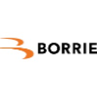Borrie Accountants/Belastingadviseurs logo - Similar company to Spare Rib Express Nl