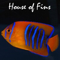 House of Fins logo - Similar company to Proaquatix