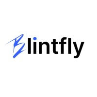 Blintfly logo - Similar company to Arishna Iot Solutions