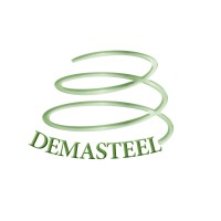 Demasteel S.r.l. logo - Similar company to O-Pac S.R.L.