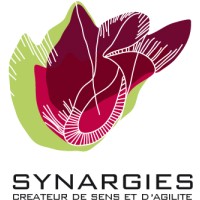 SYNARGIES SAS logo - Similar company to Lobster App