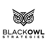 Black Owl Strategies