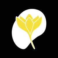 Flavuscom logo - Similar company to Korendy
