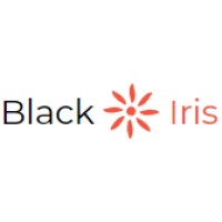 Black Iris Software Solutions logo - Similar company to Plugify