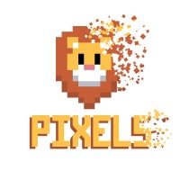 Pixels - Ecole Centrale de Lyon logo - Similar company to Raid Centrale Lyon