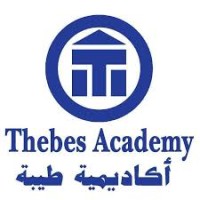 Thebes Academy logo - Similar company to تكنودوج لبيع قطع غيار سيارات دودج 0555578922