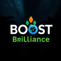 Boost Brilliance logo - Similar company to Skillsbyadsgrip
