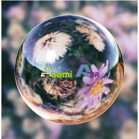Asami Aya Art - Page Linkedin Pro logo