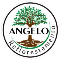 Angelo Reflorestamento logo - Similar company to Ecocidades Reflorestamento Urbano