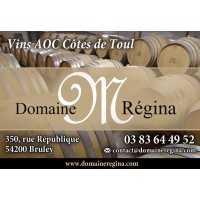 DOMAINE REGINA logo - Similar company to Nonam