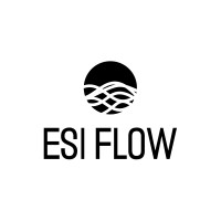 ESI Flow logo - Similar company to Mmdata