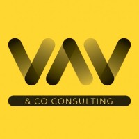 VAV&Co Consulting logo - Similar company to Vavcom