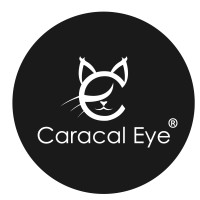 CaracalEye® logo - Similar company to Raybeam Softech