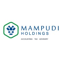 Mampudi Holdings logo - Similar company to Explospot Systems