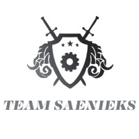 Team SAENIEKS logo - Similar company to Nie Crest