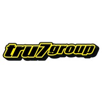 Tru7 Group logo - Similar company to Coes & Golding