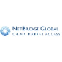 NetBridge Global logo - Similar company to Datafalcon