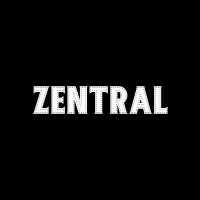 Zentral Pamplona logo - Similar company to Publispace By Cistec Technology