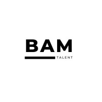 BAM Talent logo - Similar company to Excel Guard Corp