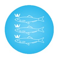Stichting Omroep Scheveningen logo - Similar company to Bureau Regio
