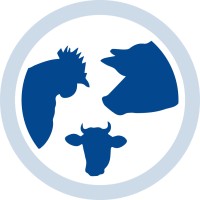Droeshaut NV logo - Similar company to Kioz