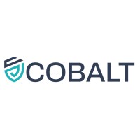 COBALT Horizon Project logo - Similar company to Edentify Foundation