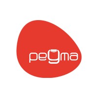 Pegma Resourcess Pvt. Ltd. logo - Similar company to Regal Engineering