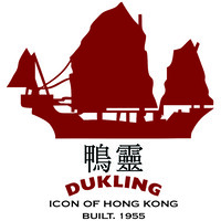 Dukling Limited logo - Similar company to Soluna Art Group