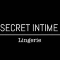 SECRET INTIME LINGERIE logo - Similar company to Baredaddy