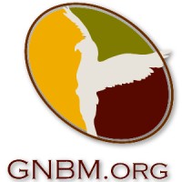 Good News Broadcasting & Multimedia logo - Similar company to Martin Broadcasting