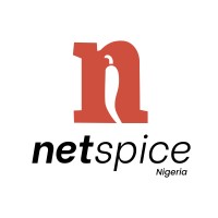 netspice nigeria logo - Similar company to Dimc Services