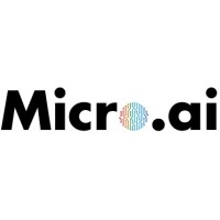 MicroAI logo - Similar company to Ice Technology Lab