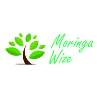 Moringa Wize BV logo - Similar company to Nvlb