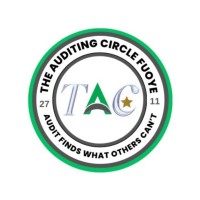 The Auditing Circle, Federal University Oye-Ekiti logo - Similar company to Dettyfinance