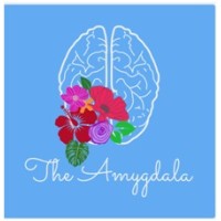 The Amygdala Forum logo - Similar company to Helpico.In