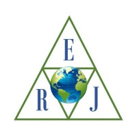 ERJ World Consulting logo - Similar company to Caledonia Services Ltd.