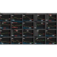 Go Up! Portfolio Management