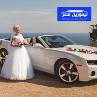 ليموزين مصر logo - Similar company to Limousines Australia