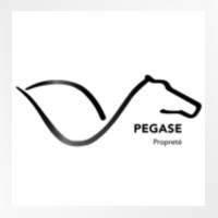 PEGASE-Propreté - ID Soft logo - Similar company to Contenus Références