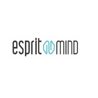 EspritMind logo - Similar company to Fara Rayaneh Design & Processing Company