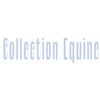Collection Equine logo - Similar company to Eliteseo